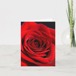 CARTÃO RED ROSE NOTE CARDS