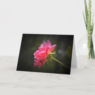Cartão Red Rose & Raindrops, card