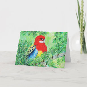 Cartão Red Rosella Bird Painting