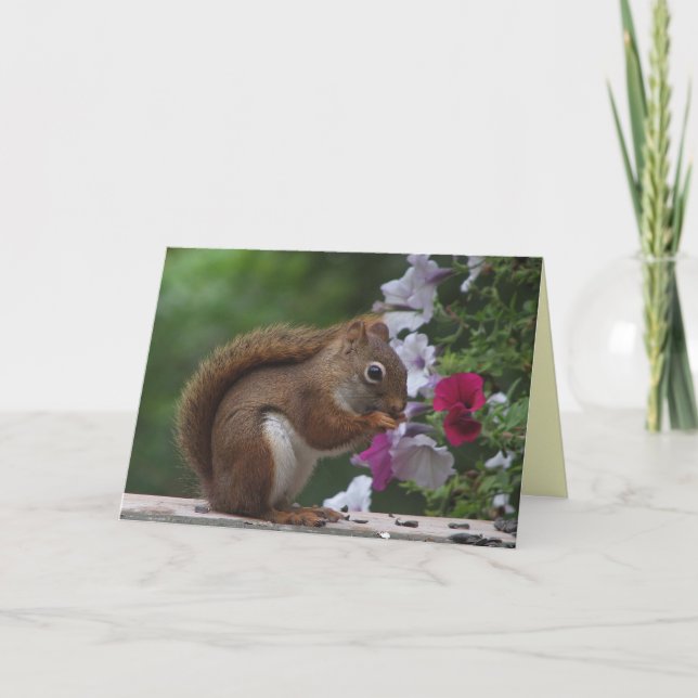 Cartão Red Squirrel Birthday (Frente)