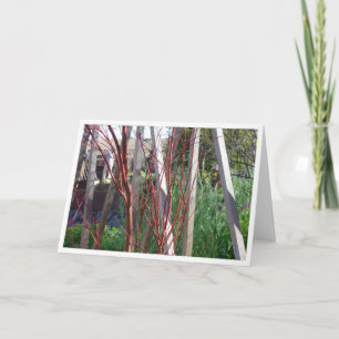 Cartão Red Sticks & White Stakes