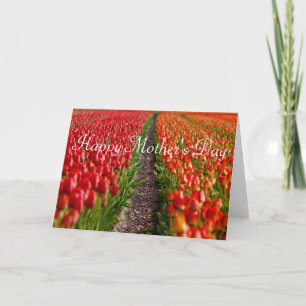 Cartão Red Tulip Field Mother's Day Card