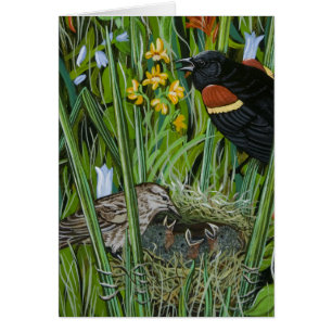 Cartão Red Wing Blackbird