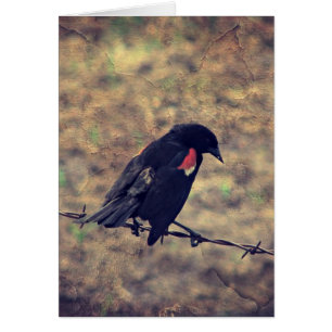 Cartão Red Wingbird All Occastions