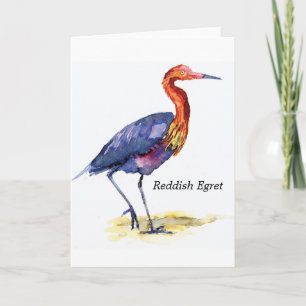 Cartão Reddish Egret note card