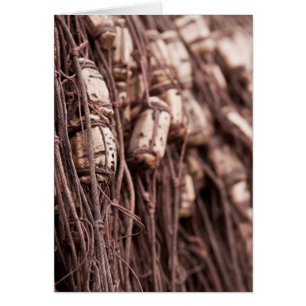 Cartão Rede de pesca