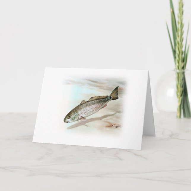 Cartão Redfish Art (Frente)