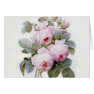 Cartão Redoute 4 (aumentou)