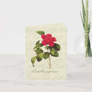 Cartão Redoute Red Camellia Botanical Print Note Cards