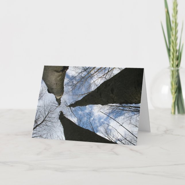 CARTÃO REDREAMING:PROCURAR (Frente)