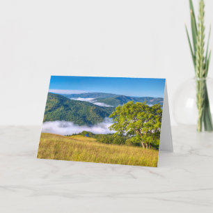 Cartão Redwood National Park, Califórnia