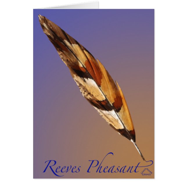Cartão Reeves Pheasant Tail (Frente)
