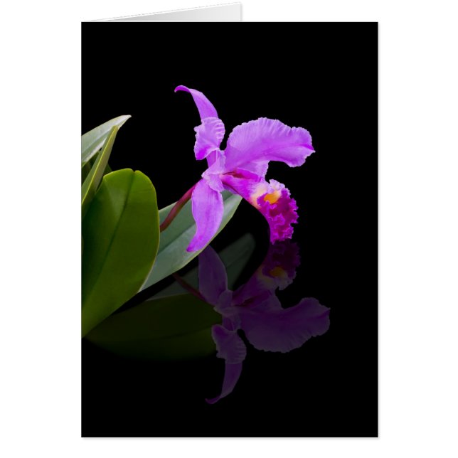 Cartão refletido da orquídea da beleza (Frente)