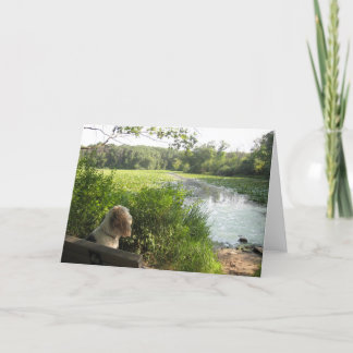 Cartão refletindo de Emma