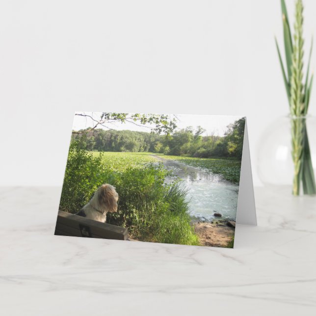 Cartão refletindo de Emma (Frente)