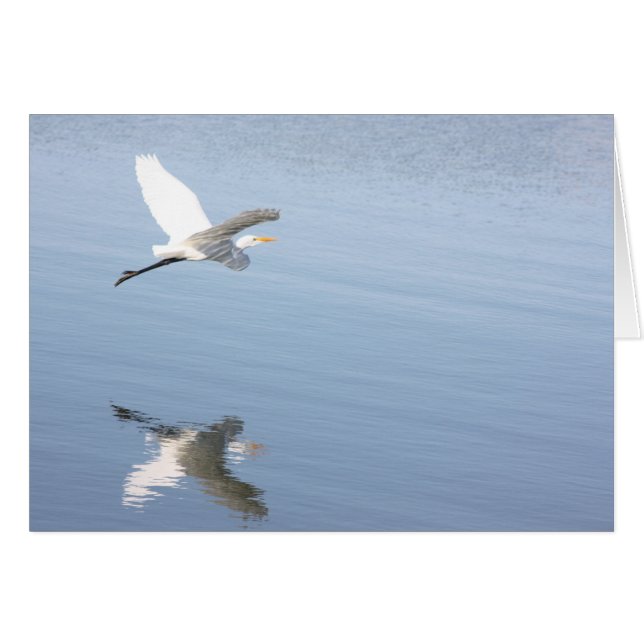 Cartão Reflexão (Frente Horizontal)