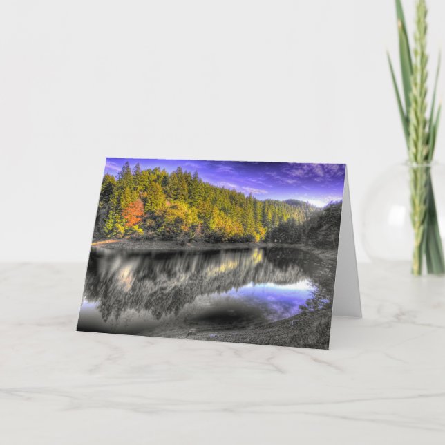 Cartão Reflexão da árvore de Tam (Frente)