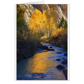 Cartão Reflexão de Escalante