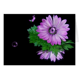 Cartão Reflexão de margarida roxa