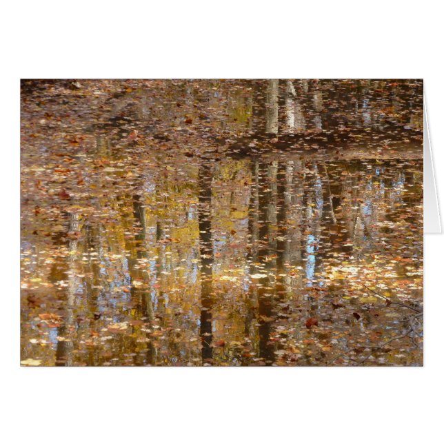 Cartão Reflexão no "Crião Estático" no Parque Greenbelt (Frente Horizontal)