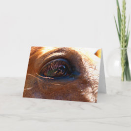 Cartão Reflexão no Olho do Cavalo