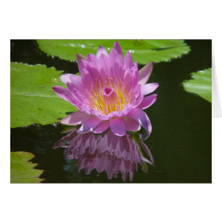 Cartão Reflexão rosa