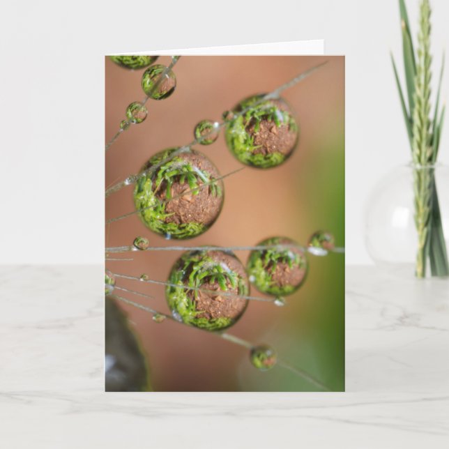 Cartão Reflexo da Gota de Água (Frente)