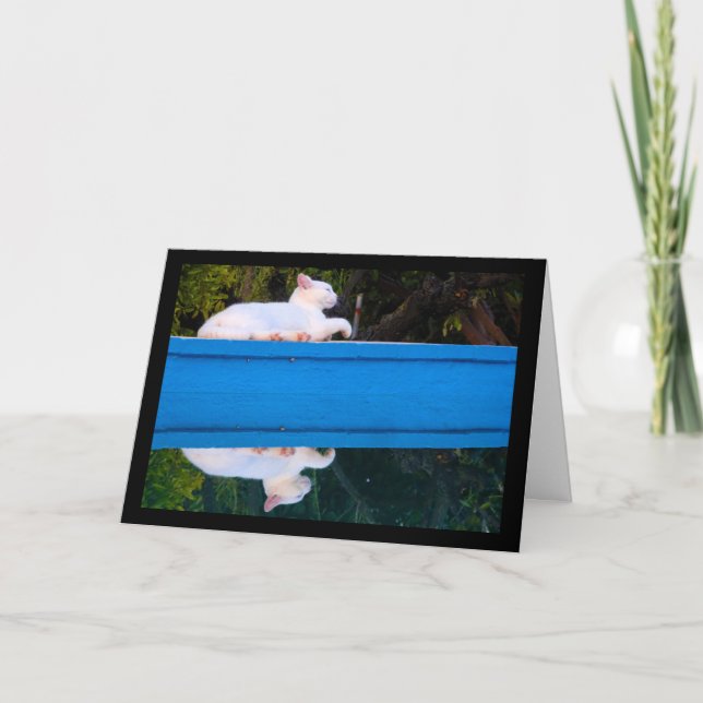 Cartão Reflexo de um Gato Branco (Frente)