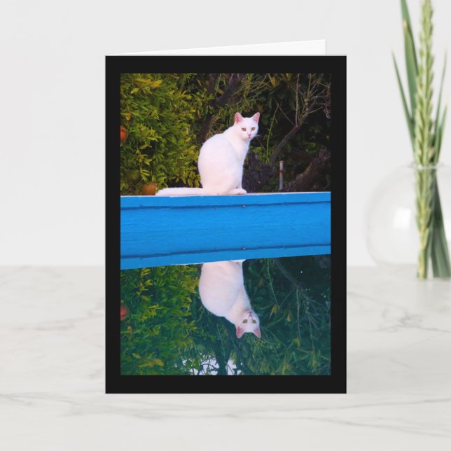 Cartão Reflexo de um retrato de gato branco (Frente)
