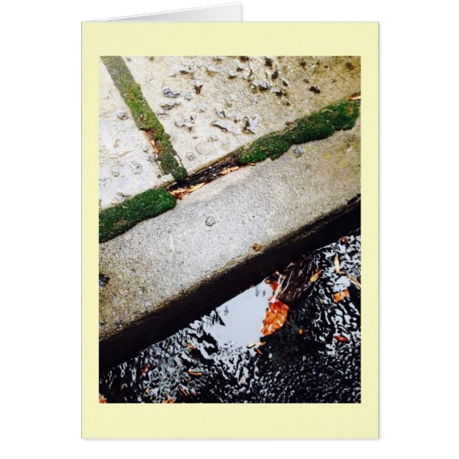 Cartão Reflexões (Frente)