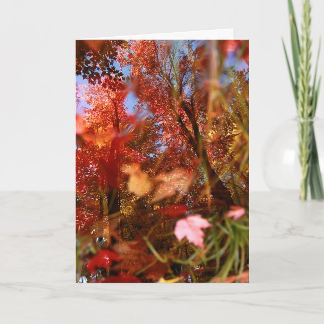 Cartão Reflexões (Frente)