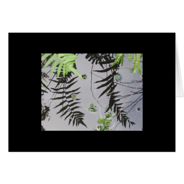 Cartão Reflexões dianteiras (Frente Horizontal)