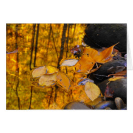 Cartão Reflexões do ouro do outono