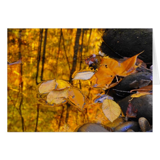 Cartão Reflexões do ouro do outono (Frente Horizontal)