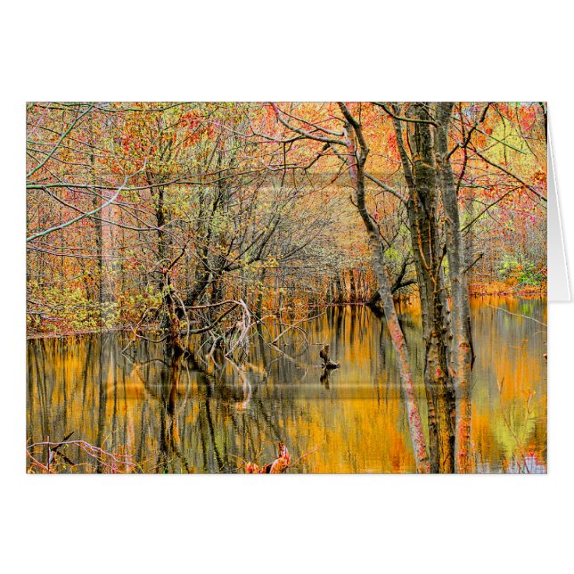 Cartão Reflexões em Árvore/RECOLHA DE ÁGUAS ÚMIDAS - Vazi (Frente Horizontal)