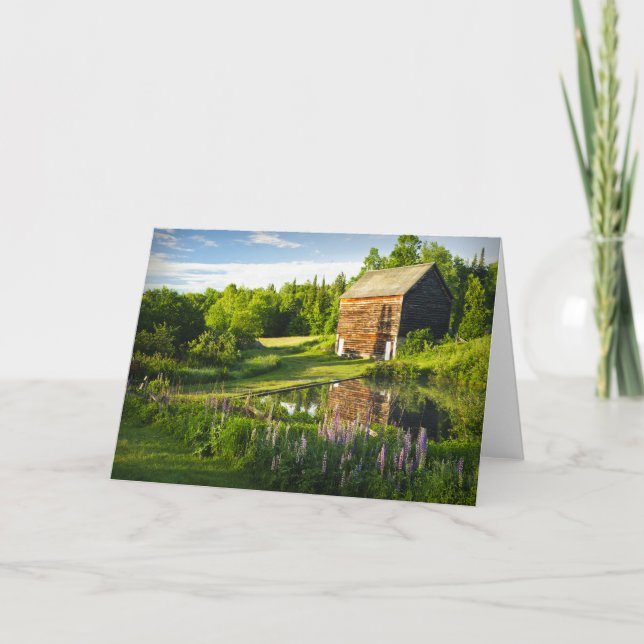 Cartão Reflexões no Adirondacks, N.Y. do primavera (Frente)