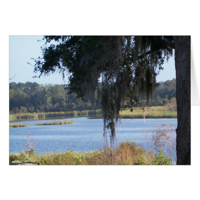 Cartão Reflexões no lago sul do verão (Frente Horizontal)