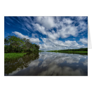 Cartão Reflexões sobre a selva peruana