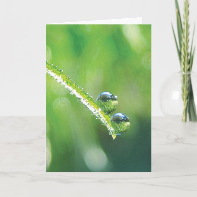 Cartão Reflexões sobre a Terra de Grama Verde (Frente)