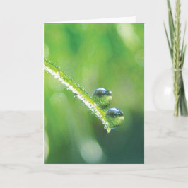 Cartão Reflexões sobre a Terra de Grama Verde