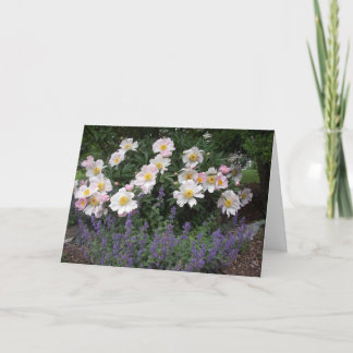 Cartão Reforma - Hora de cheirar as flores