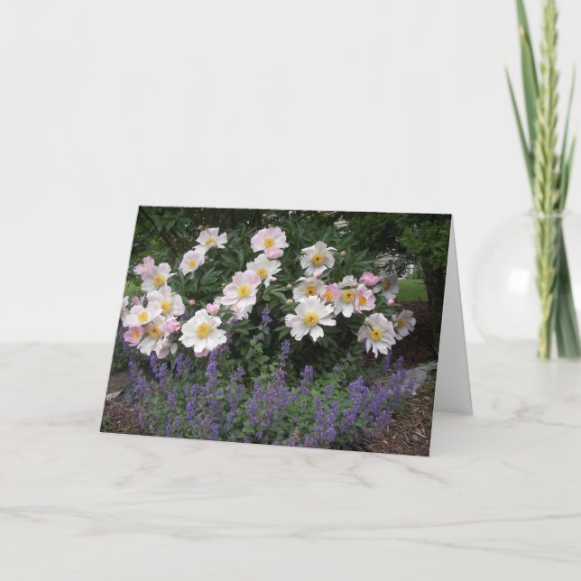 Cartão Reforma - Hora de cheirar as flores (Frente)