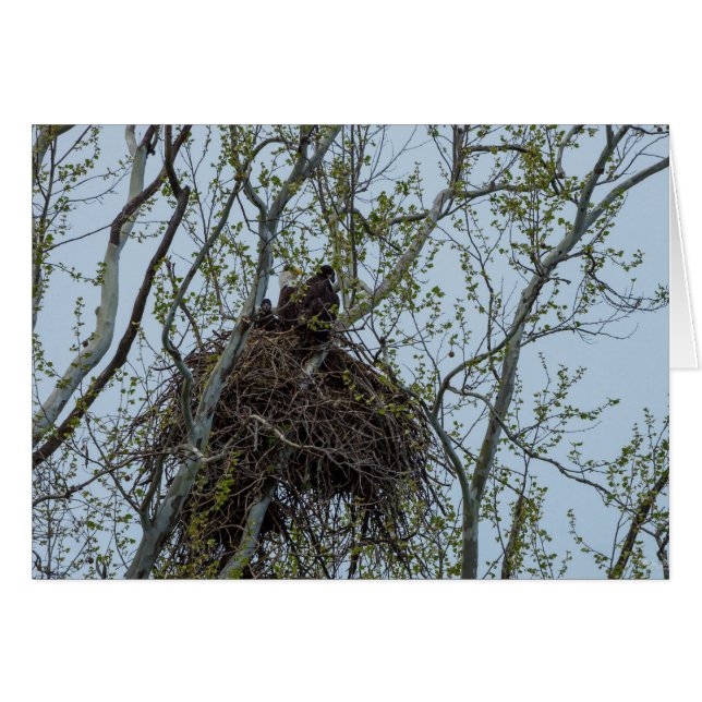 Cartão Refrigerindo com a mamãe (Frente horizontal)