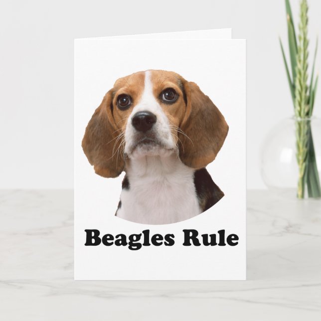 Cartão Regra de Beagles (Frente)