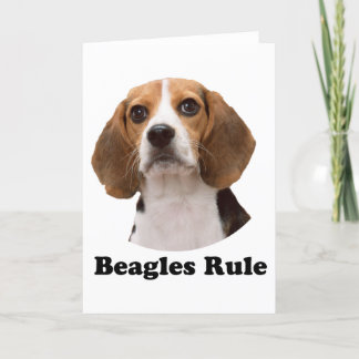 Cartão Regra de Beagles