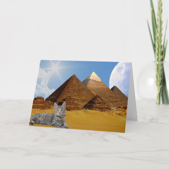 Cartão Regra de Gatos! (Frente)