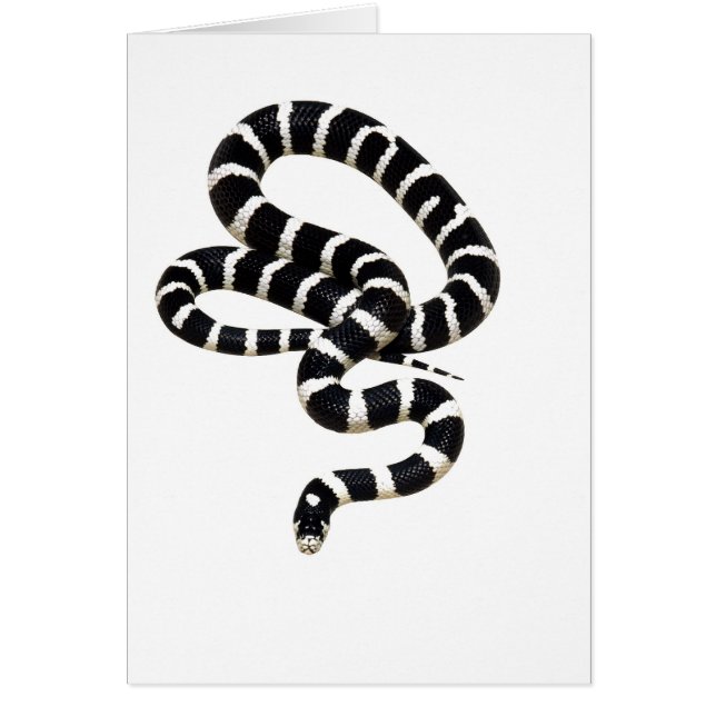 Cartão Rei cobra de Junglewalk.com (Frente)