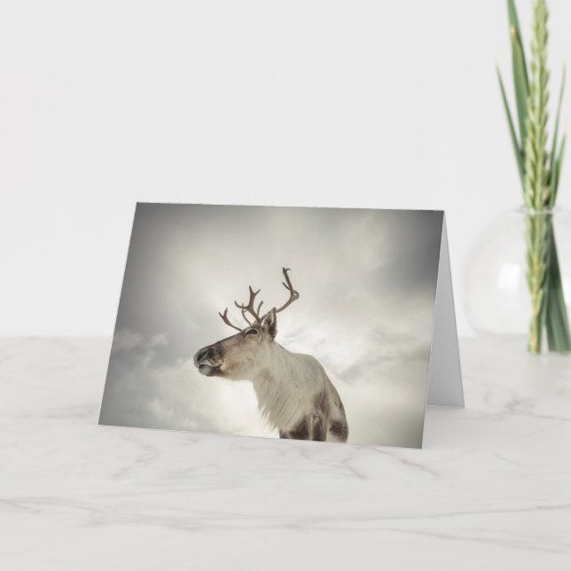 Cartão Reindeer Nature Photo (Frente)