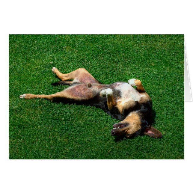 Cartão relaxado (Frente Horizontal)