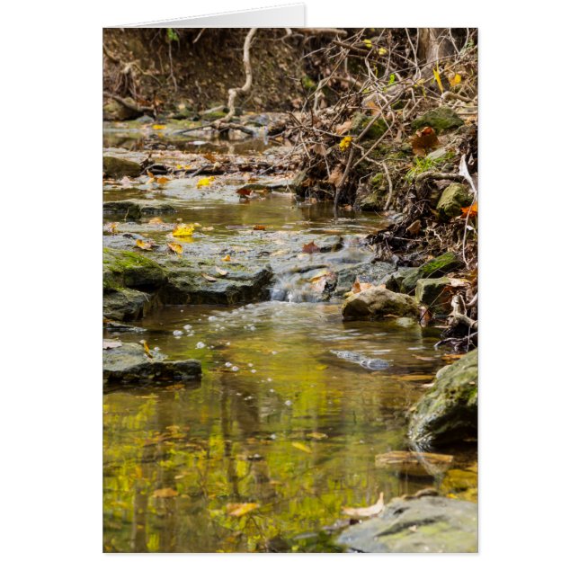 Cartão Relaxamento Em Vestes Do Norte (Frente)